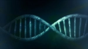 genics-reproducao-humana-assistida-menopausa-2 Imagem de DNA alterado na menopausa.