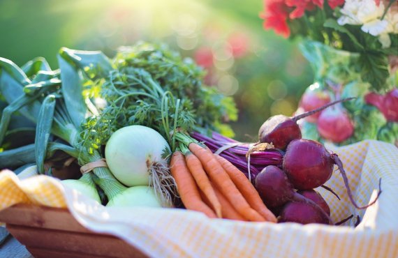 Fertilidade masculina e alimentação. Cesta com vegetais e frutos: cebola, cenoura e beterraba.