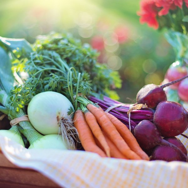 Fertilidade masculina e alimentação. Cesta com vegetais e frutos: cebola, cenoura e beterraba.