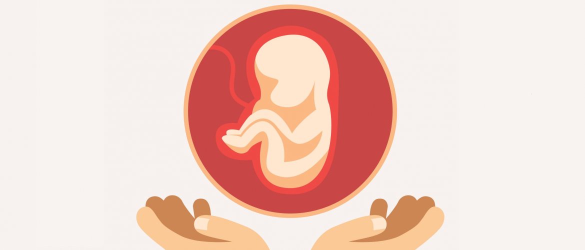 Aborto de repetição: duas mãos segurando um feto dentro do útero,