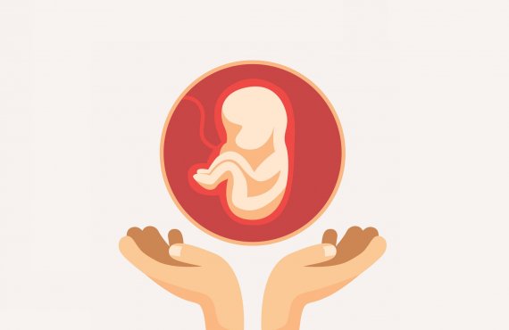 Aborto de repetição: duas mãos segurando um feto dentro do útero,