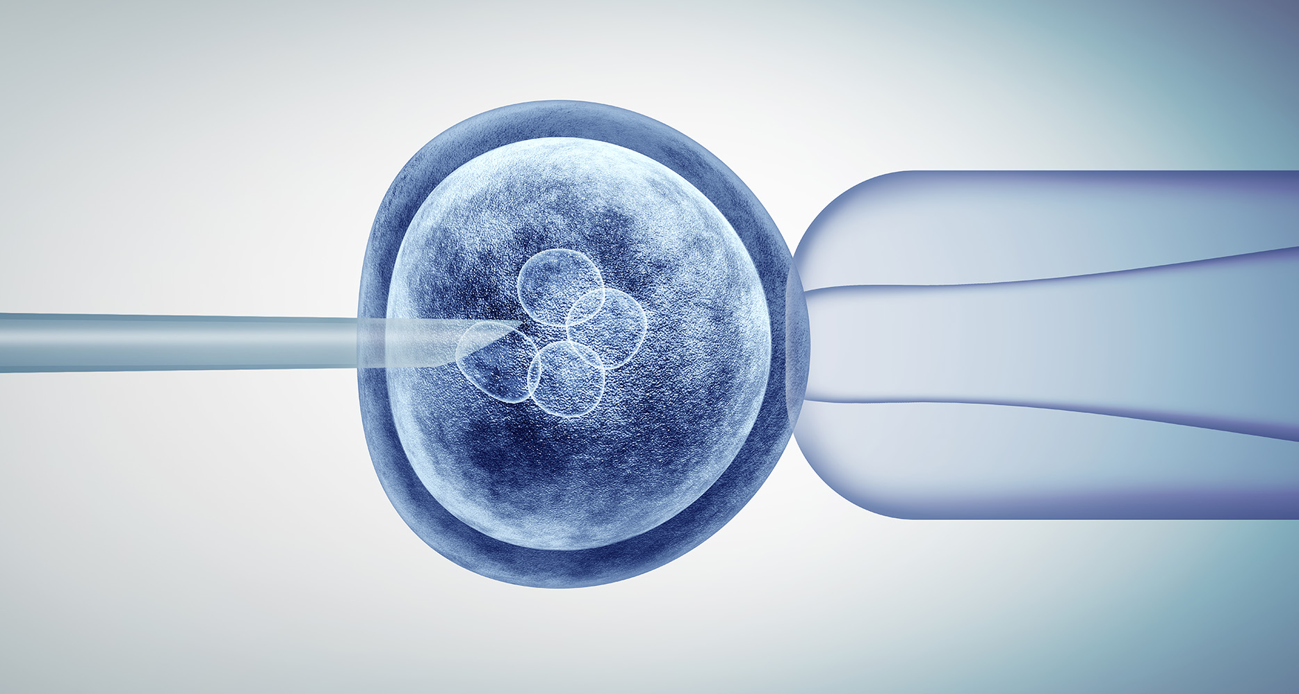 Fiv Cell Quanto tempo esperar para uma nova tentativa de FIV? - Clínica Genics
