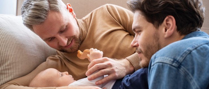 FERTILIZAÇÃO PARA CASAIS HOMOAFETIVOS (MASCULINO/FEMININO)