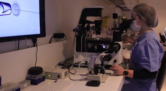 INJEÇÃO INTRACITOPLASMATICA DE ESPERMATOZOIDE (ICSI)