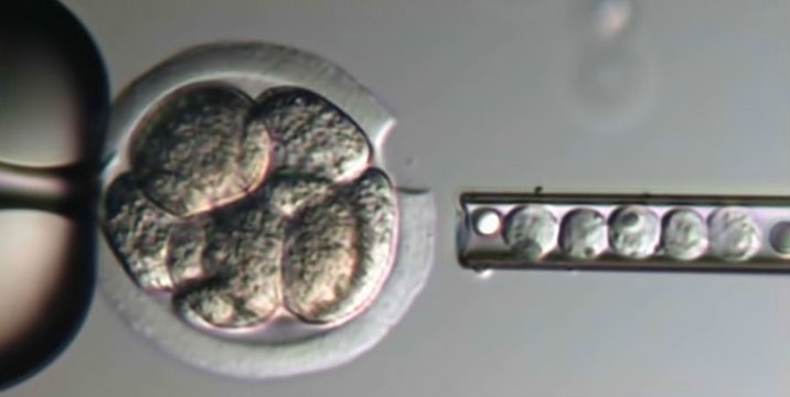 LASER E ASSISTED HATCHING