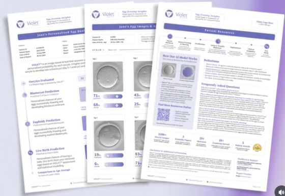 APLICAÇÃO DA INTELIGENCIA ARTIFICIAL PERSONALIZADA SOBRE A QUALIDADE DOS ÓVULOS – RELATÓRIO VIOLET